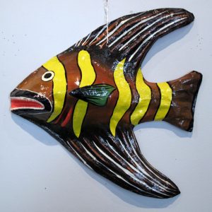 Tropical Fish