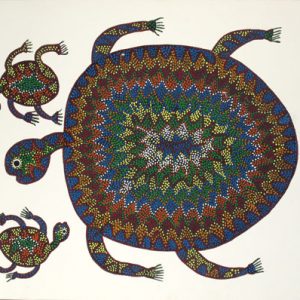 Turtle Family