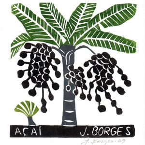 Acai