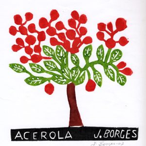 Acerola