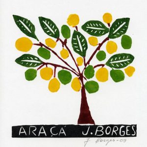 Araca