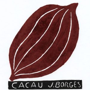 Cacau