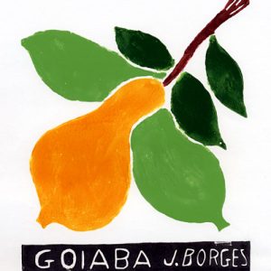 Goiaba 