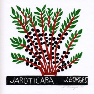 Jaboticaba