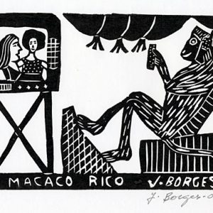 O Macaco Rico