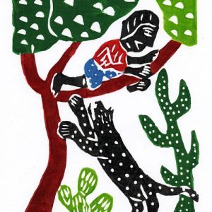Perigo Na Selva