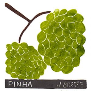 Pinha