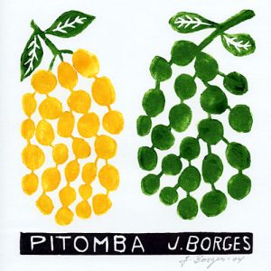 Pitomba