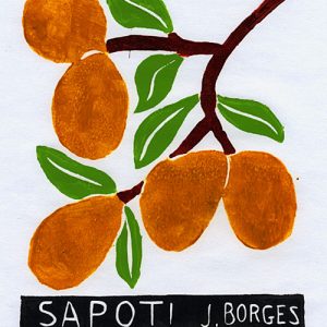 Sapoti - José Francisco Borges