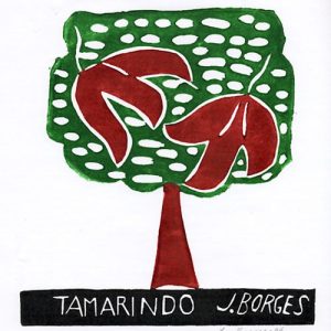 Tamarindo