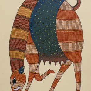 Wild Boar