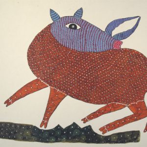 Wild Boar