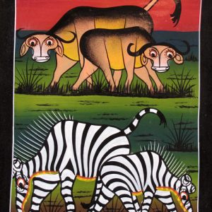 Buffaloes and Zebras