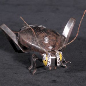 Cricket