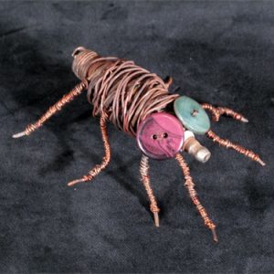 Insect 1