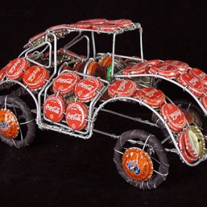 Bottle-cap Beetle