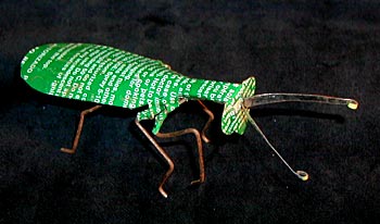 Burkina Tin Bugs (small)