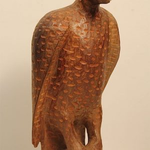 Spotted Bird