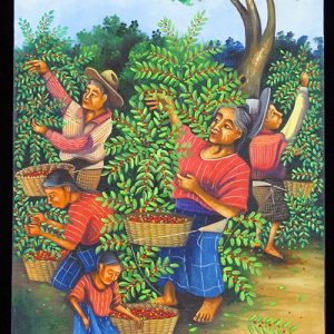 Coffee Harvest