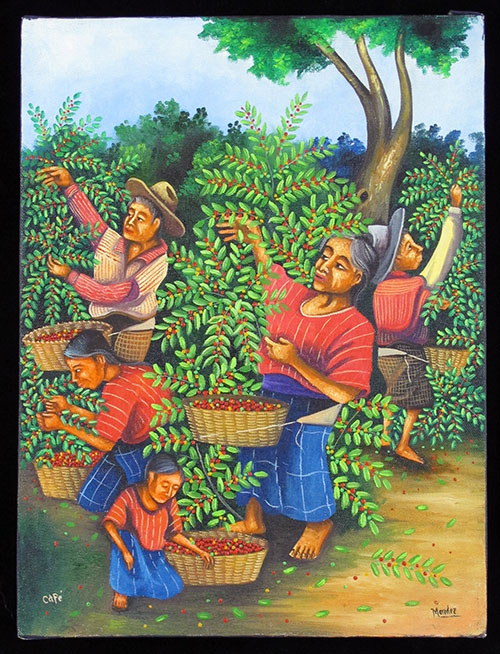 Coffee Harvest