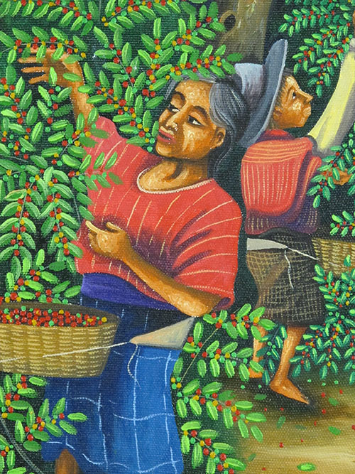 Coffee Harvest