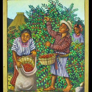 Coffee Harvest (III)