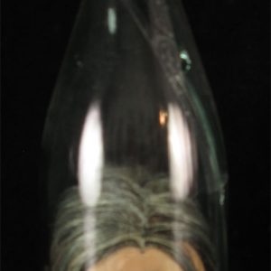 Vodou Bottle