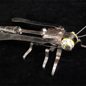 Wasp - small