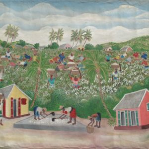 Cotton Harvest