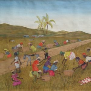 Rice Harvest