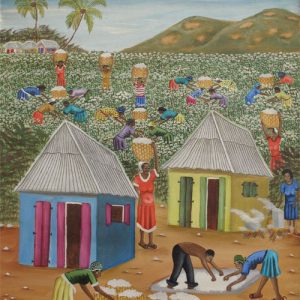 Cotton Harvest