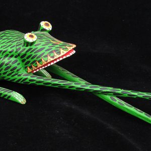 Long-legged Frog from Oaxaca