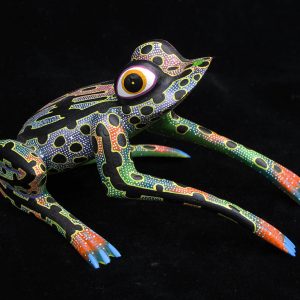 Spotted Frog from Oaxaca