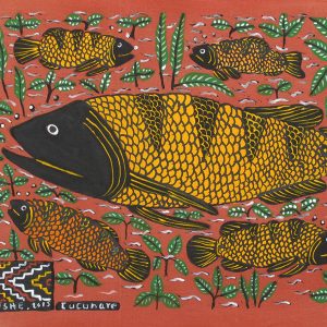 Cucunare (Yellow Fish)