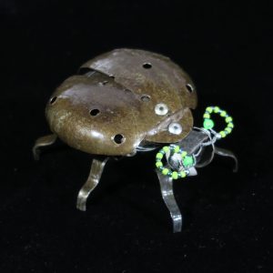 Beetle