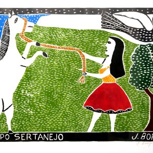 Campo Sertanejo (Countryside of the Sertao)