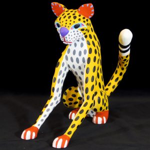 Chita (cheetah)