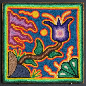 La Flor del Viento y el Peyote