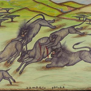 Lions Attacking Gazelles