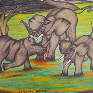 Battle of Rhinos and Elephants