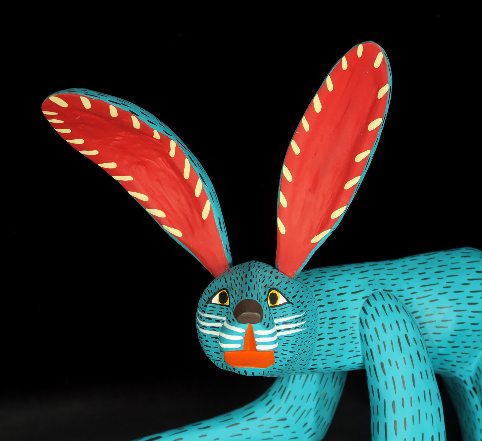 Conejo Turquesa (turquoise jack-rabbit)