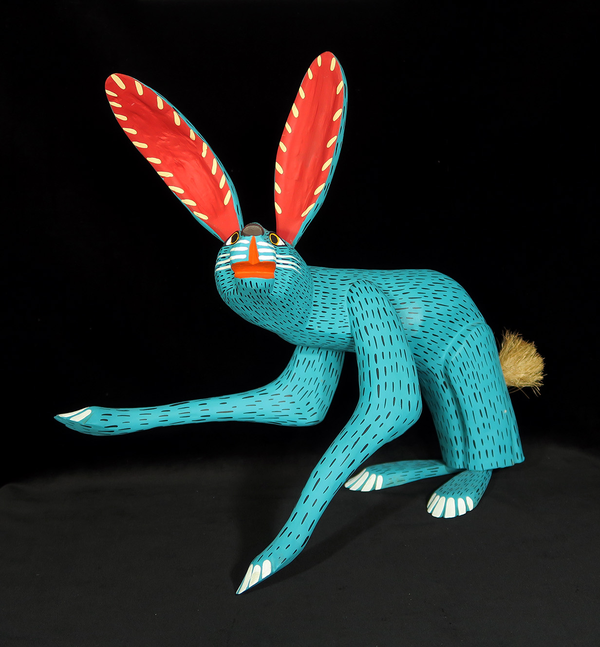 Conejo Turquesa (turquoise jack-rabbit)