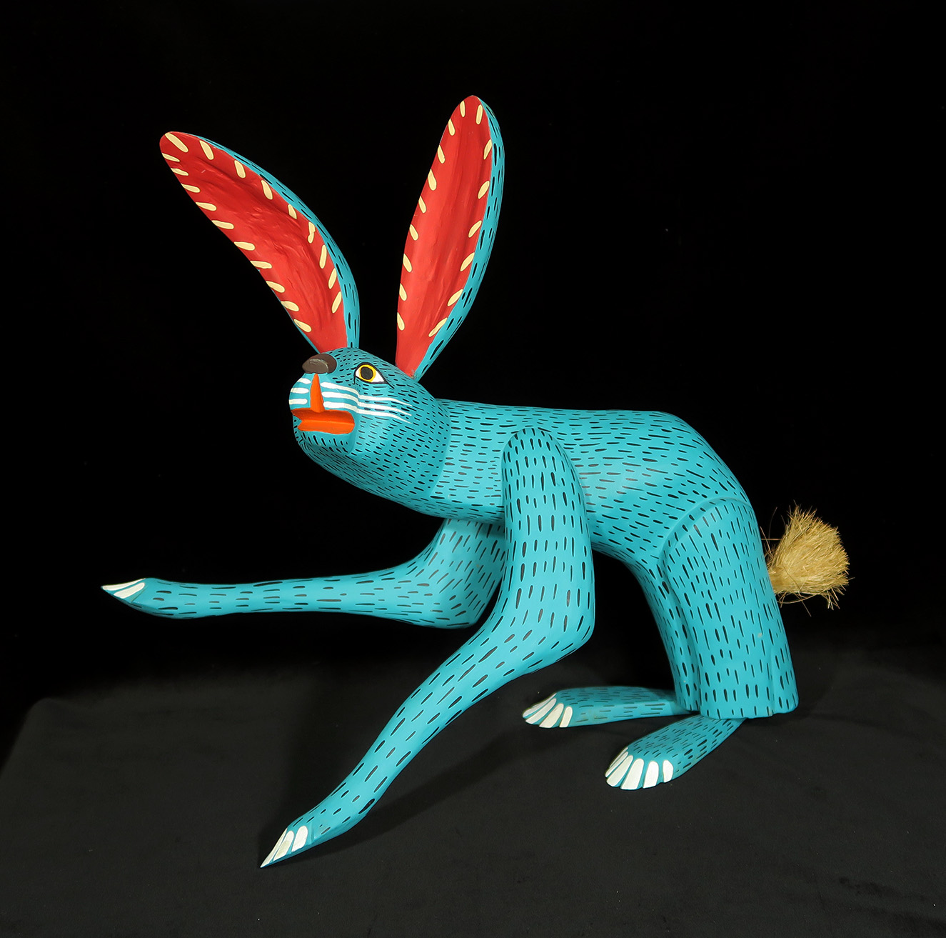 Conejo Turquesa (turquoise jack-rabbit)