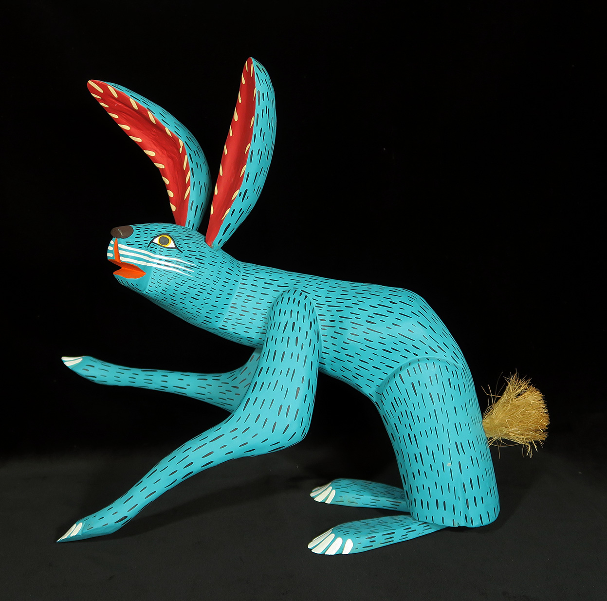 Conejo Turquesa (turquoise jack-rabbit)