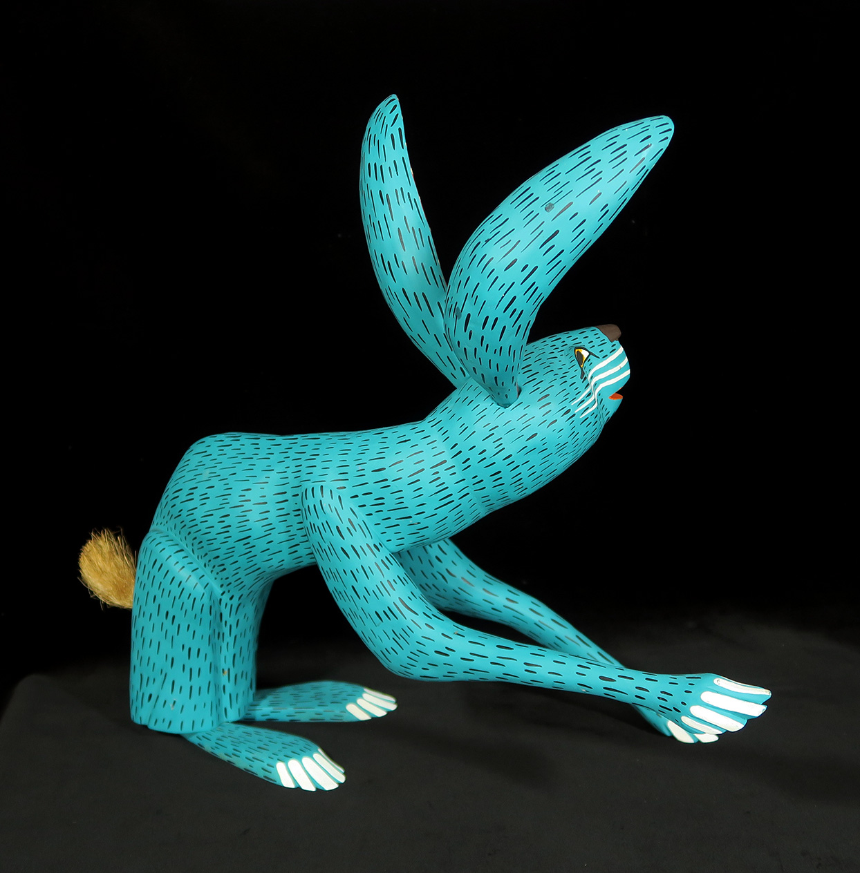 Conejo Turquesa (turquoise jack-rabbit)
