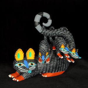 Tlacuaches (Possum family)