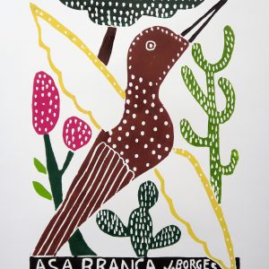 Asa Branca (white bird)