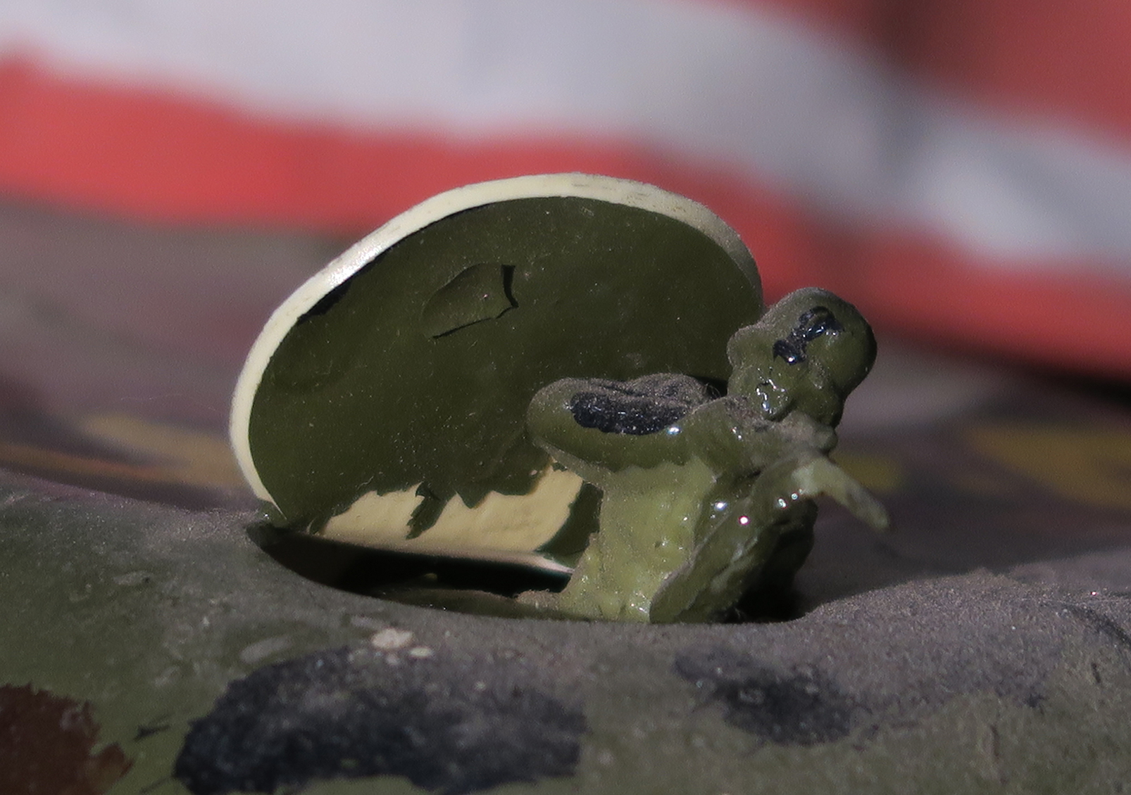 6-Wheeled US Invasion Vehicle from plastic bottles