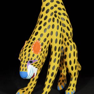 Cheetah
