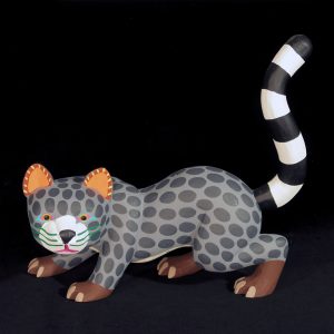 Gato Montes (Mountain Lion)